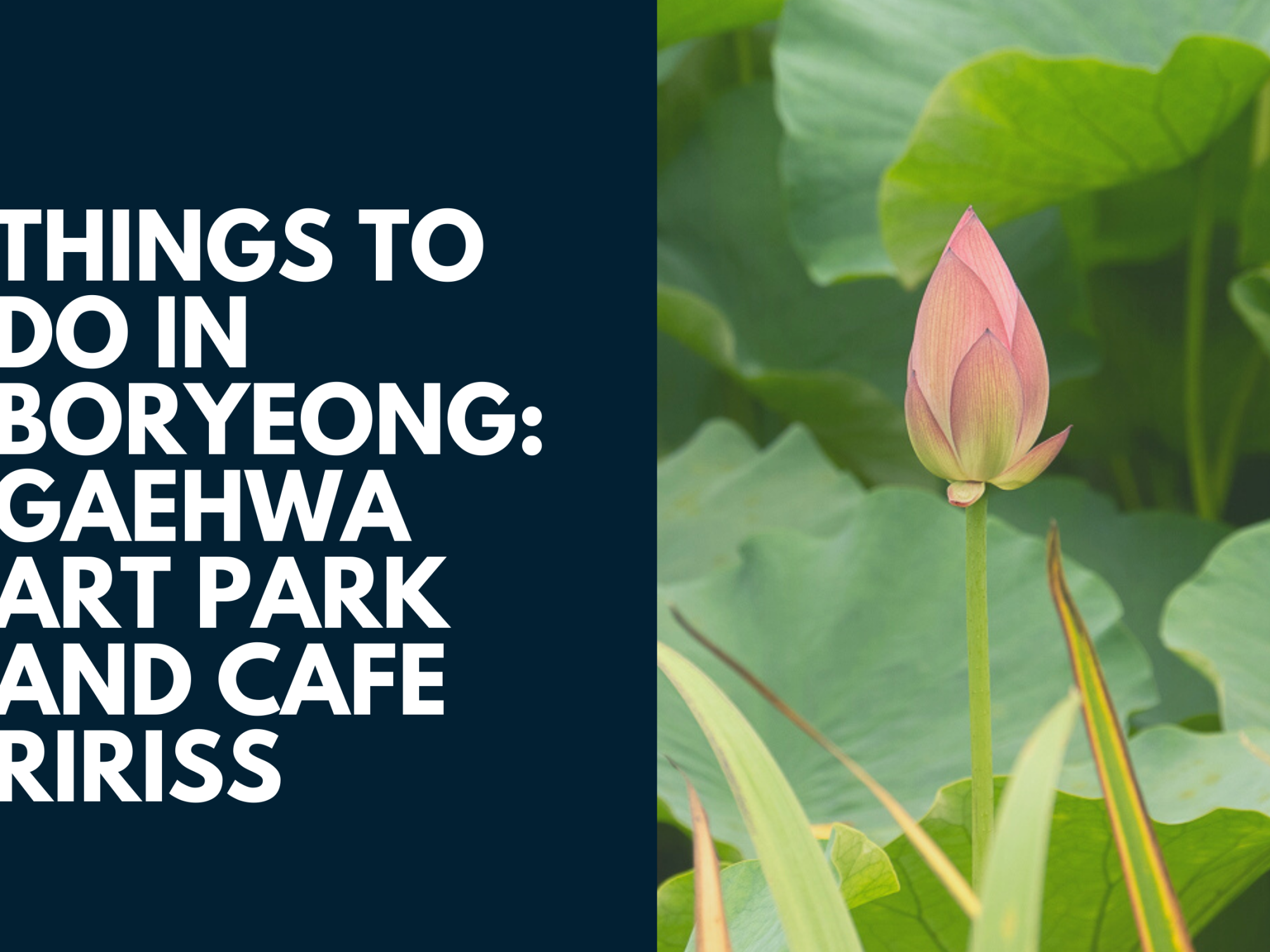 Things to do in Boryeong: Gaehwa Art Park and Cafe Ririss